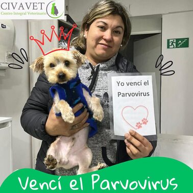 Cómo equipo médico somos tan felices cuando nuestros pacientitos se van de alta y 100 recuperad