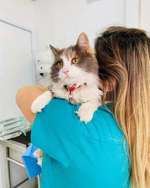 Hoy como familia Civavet estamos muy tristes. Es un día muy difícil para todos quienes amamos a