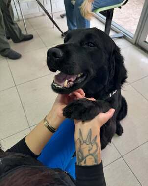 Un Duque feliz luego de ser adoptado. Hoy vino a Civavet a su vacuna y control sanitario. 🐶🐶🐶